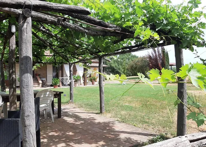 Poggio dell'Olivo